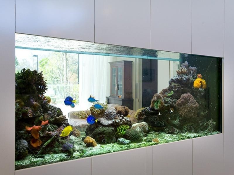 Indooroopilly QLD 4068