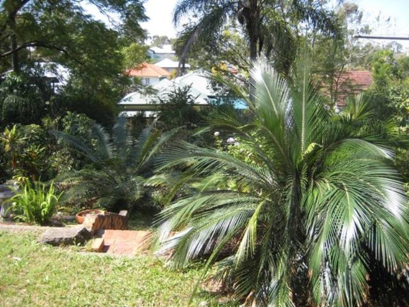 24 Henderson Street, Oxley QLD 4075