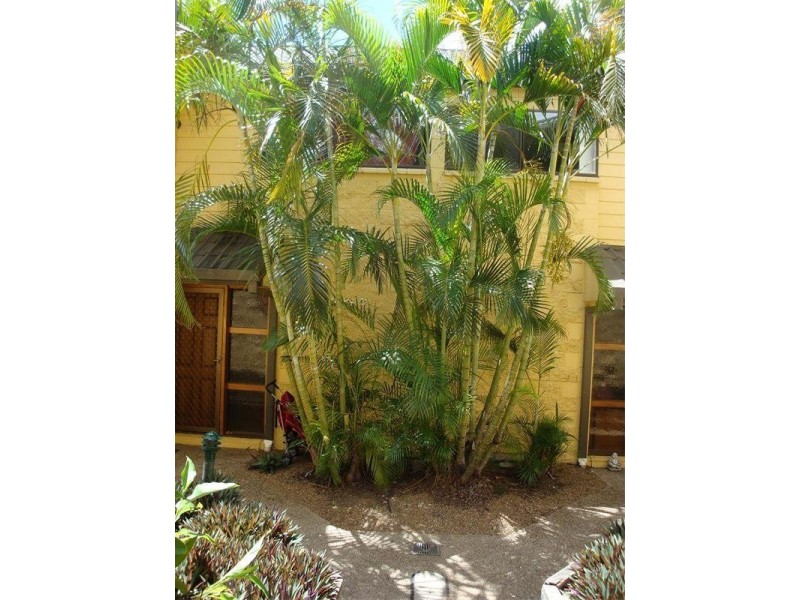 1/60 Railway Street, Booval QLD 4304