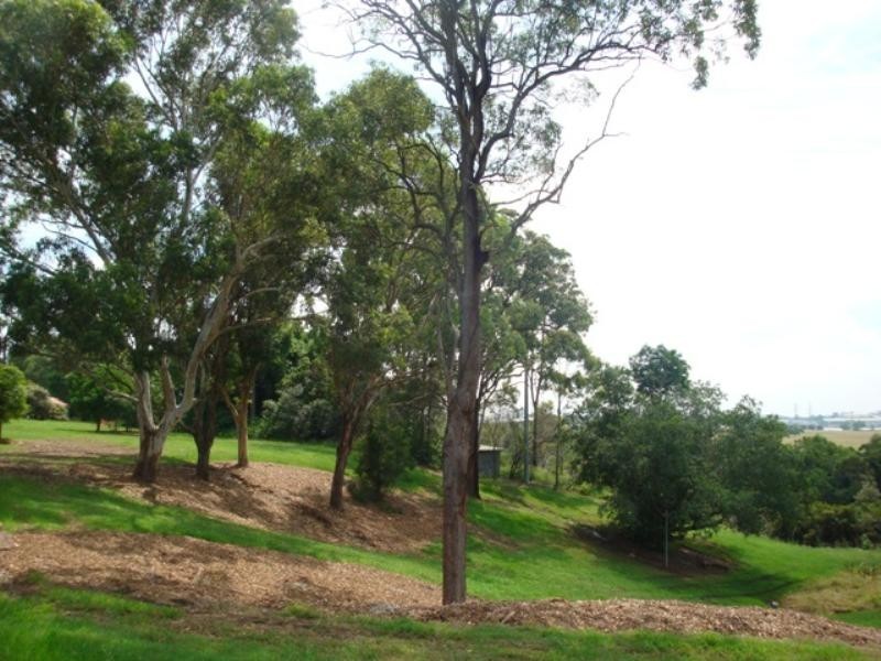 22 Erinvale Street, Corinda QLD 4075