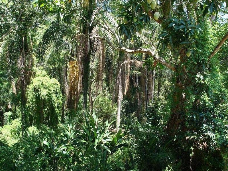 102 Hilda Street, Corinda QLD 4075