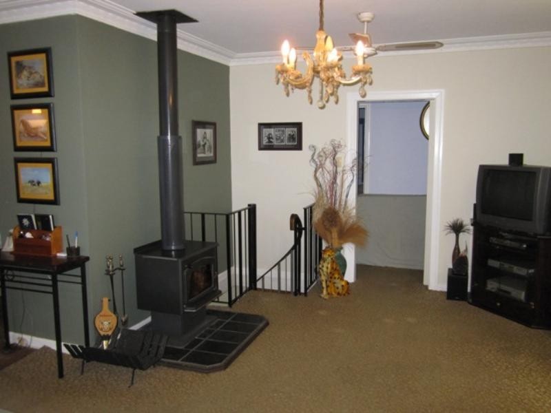 117 Plumer Street, Sherwood QLD 4075