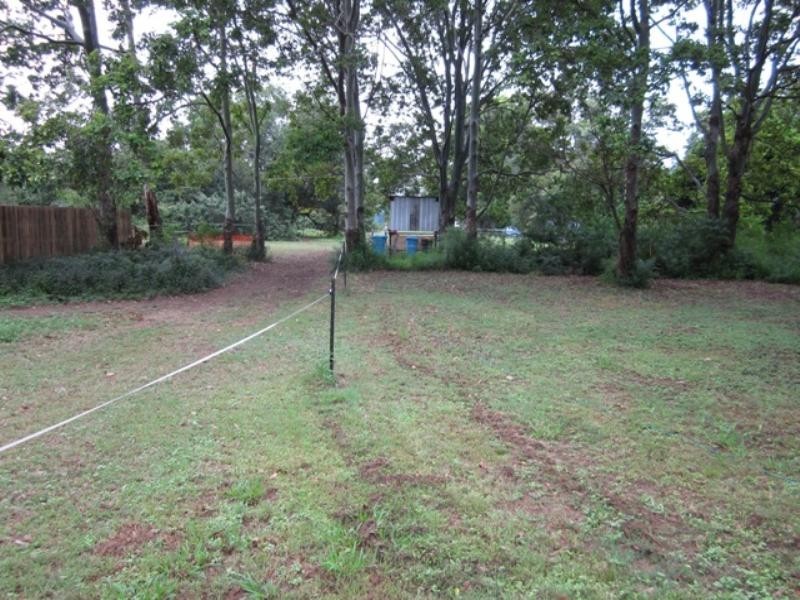 117 Plumer Street, Sherwood QLD 4075