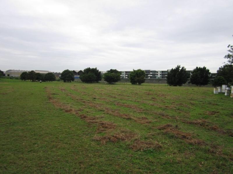 117 Plumer Street, Sherwood QLD 4075