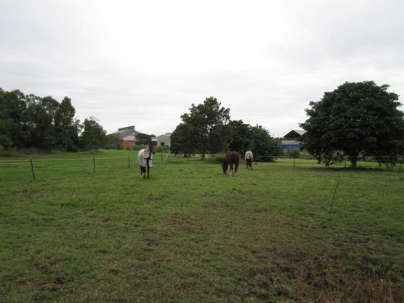 117 Plumer Street, Sherwood QLD 4075