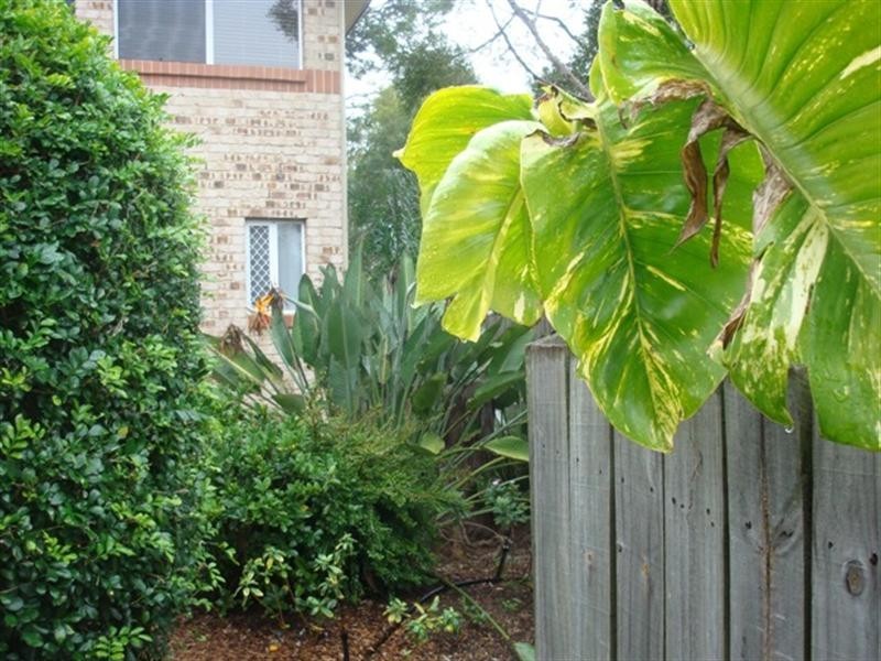 30/12 Edmondson Street, Corinda QLD 4075