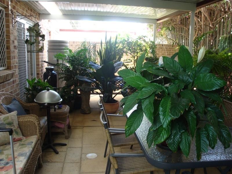 3/48 Skew Street, Sherwood QLD 4075