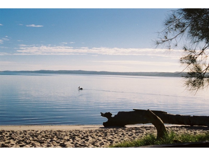 20 Orchid Avenue, Tinnanbar QLD 4650