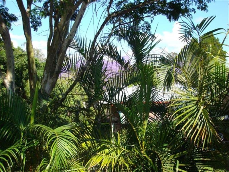 106 Hilda Street, Corinda QLD 4075