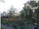 Springfield Lakes QLD 4300