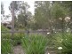 Springfield Lakes QLD 4300
