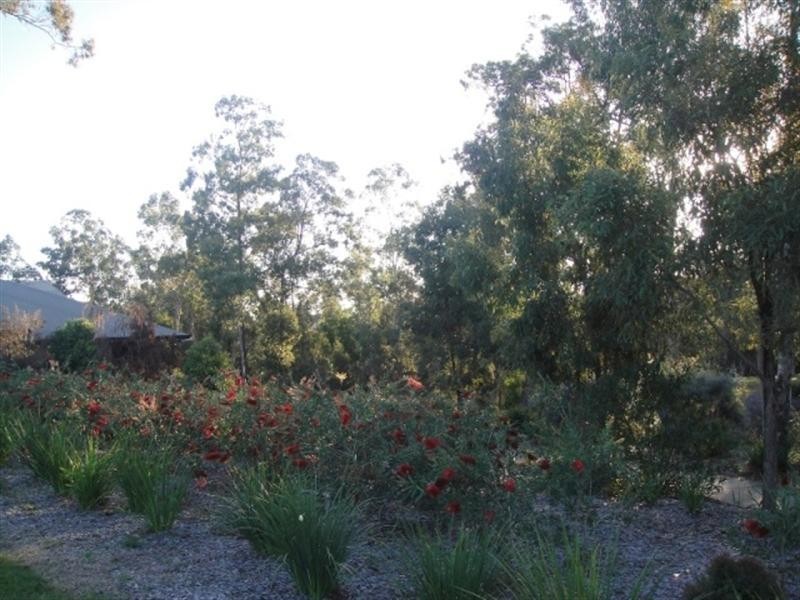 Springfield Lakes QLD 4300
