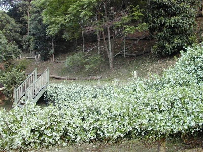 20 mins from Fernvale, address available on request, Fernvale QLD 4306