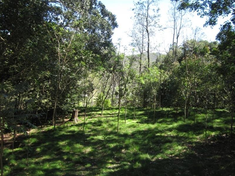 20 mins from Fernvale, address available on request, Fernvale QLD 4306