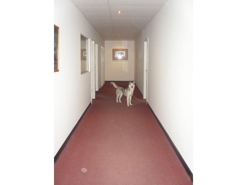 29 Colebard Street West, Acacia Ridge QLD 4110