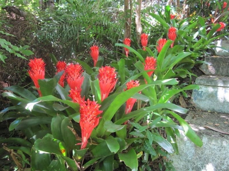 81 Seventeen Mile Rocks Road, Oxley QLD 4075