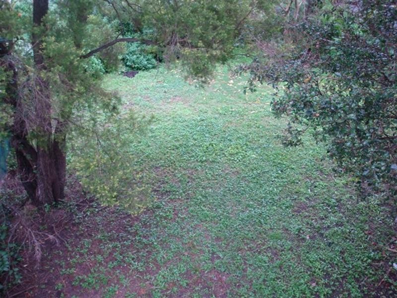 10 Mortlake Road, Graceville QLD 4075