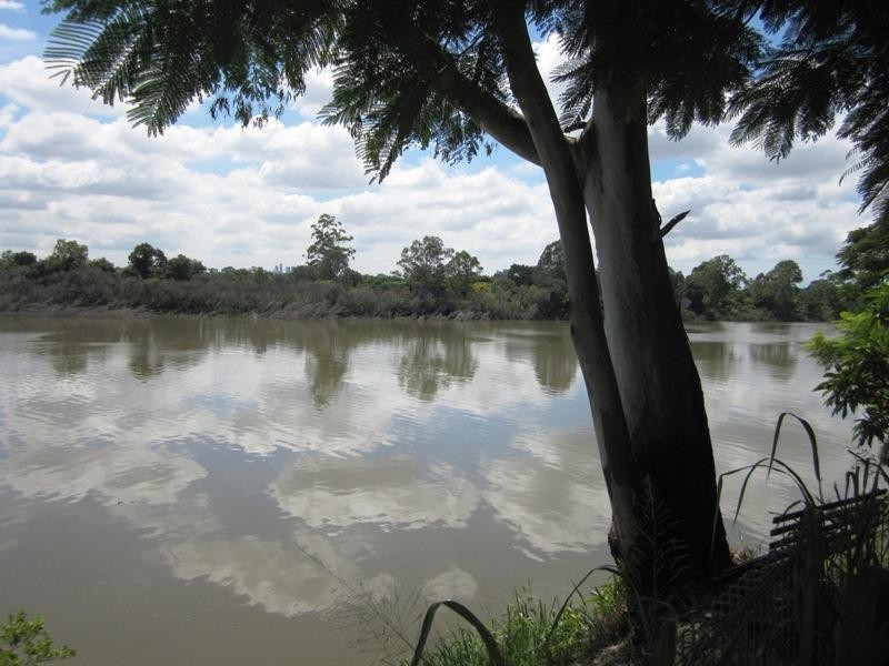 11 King Arthur Terrace, Tennyson QLD 4105