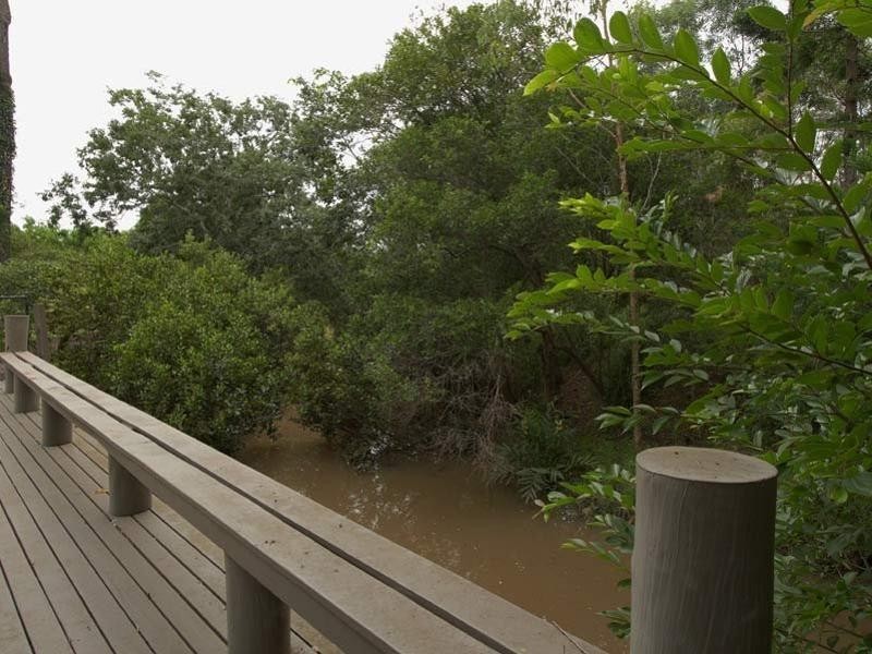 5 Thalia Court, Corinda QLD 4075