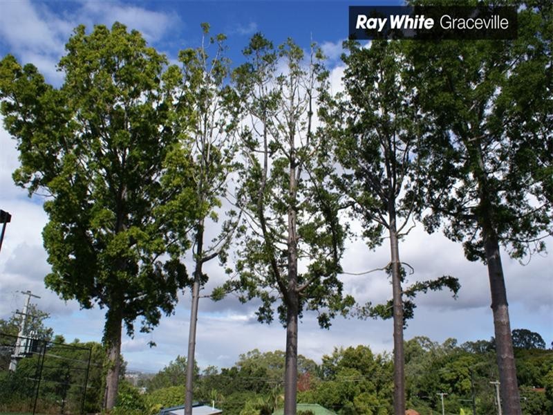 190 Cliveden Avenue, Corinda QLD 4075