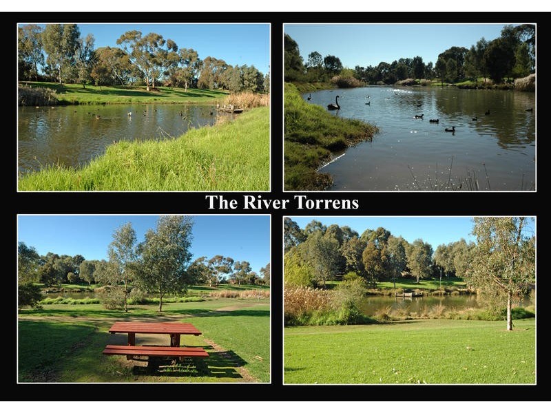 20 Samuel Street, Fulham SA 5024