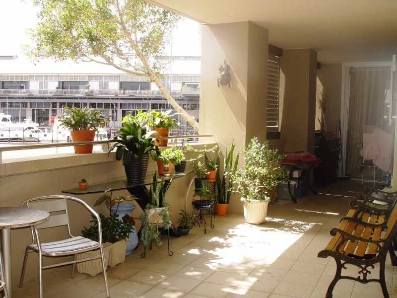 11 Pirrama Road, Sydney NSW 2000