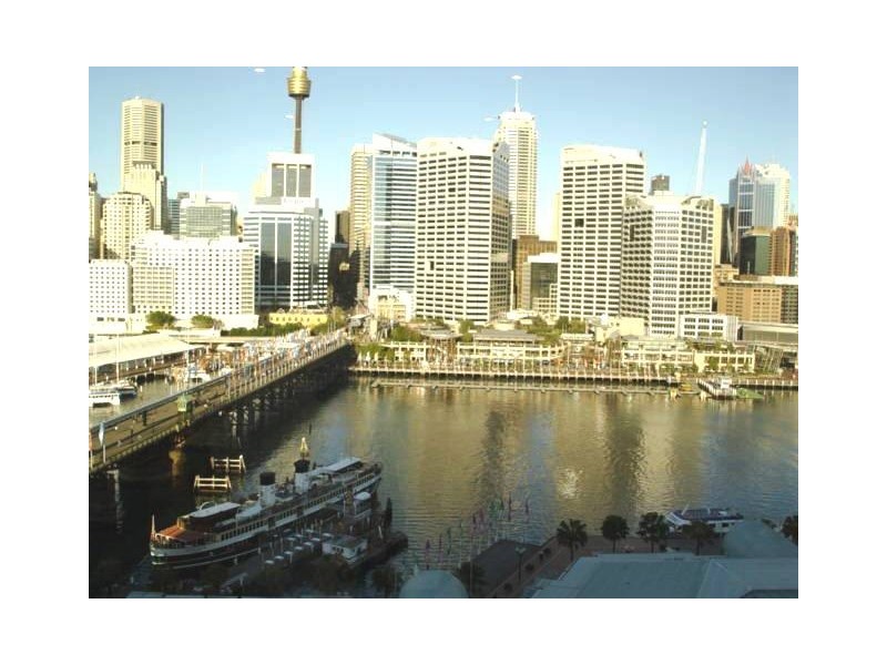 50 Murray Street, Pyrmont NSW 2009