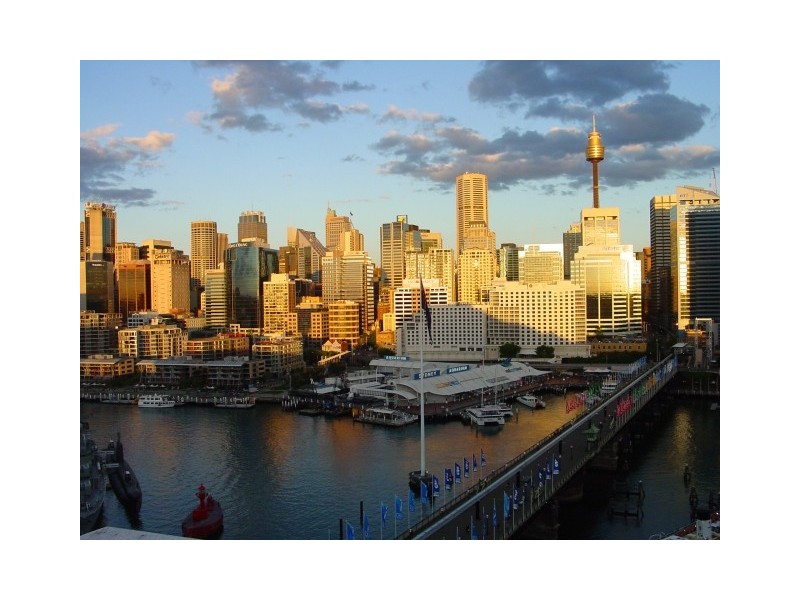 50 Murray Street, Pyrmont NSW 2009