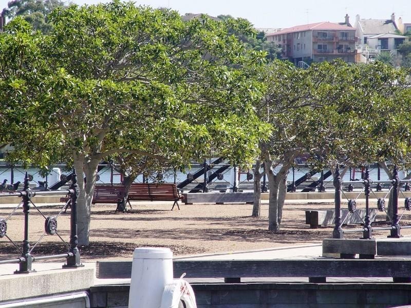 8 Point Street, Pyrmont NSW 2009