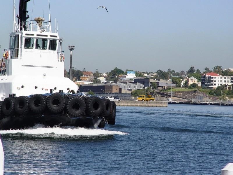 8 Point Street, Pyrmont NSW 2009