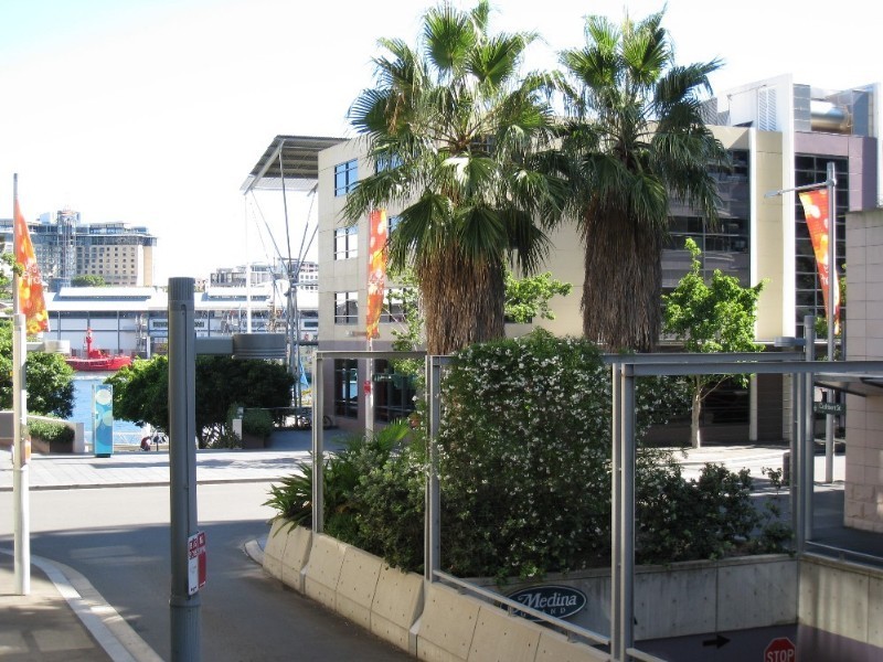 45 Shelley Street, Sydney NSW 2000