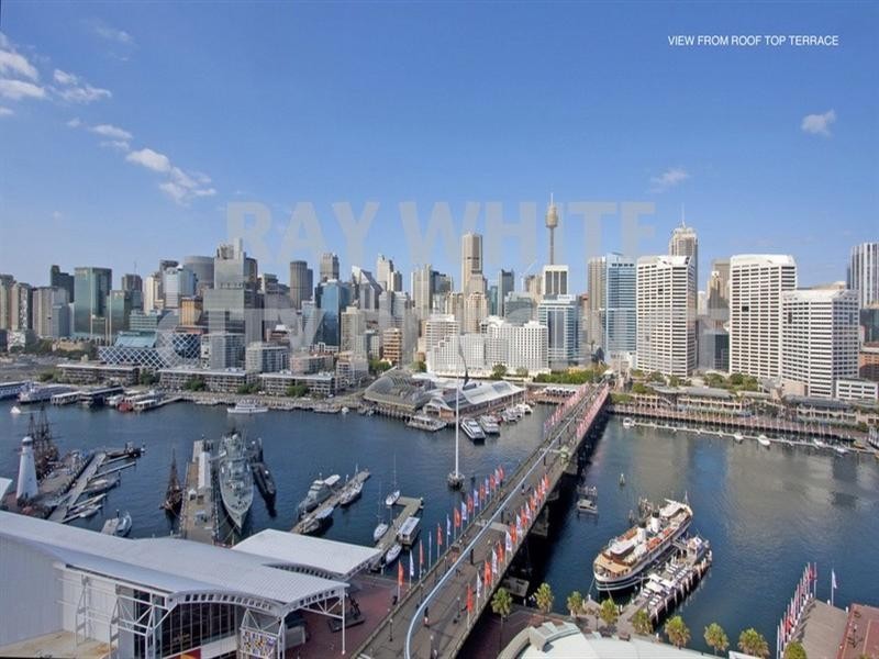 50 Murray Street, Pyrmont NSW 2009