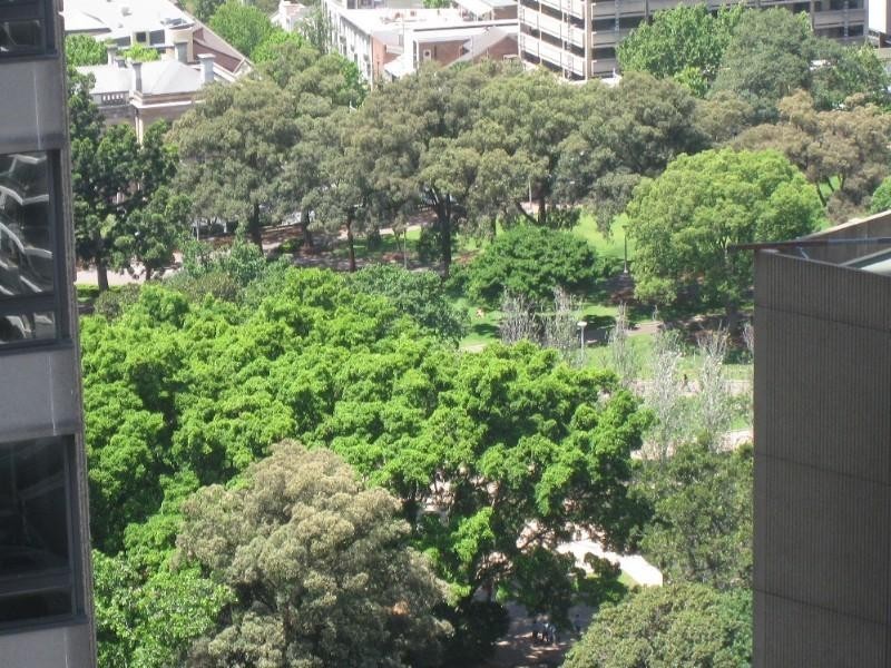 199 Castlereagh Street, Sydney NSW 2000