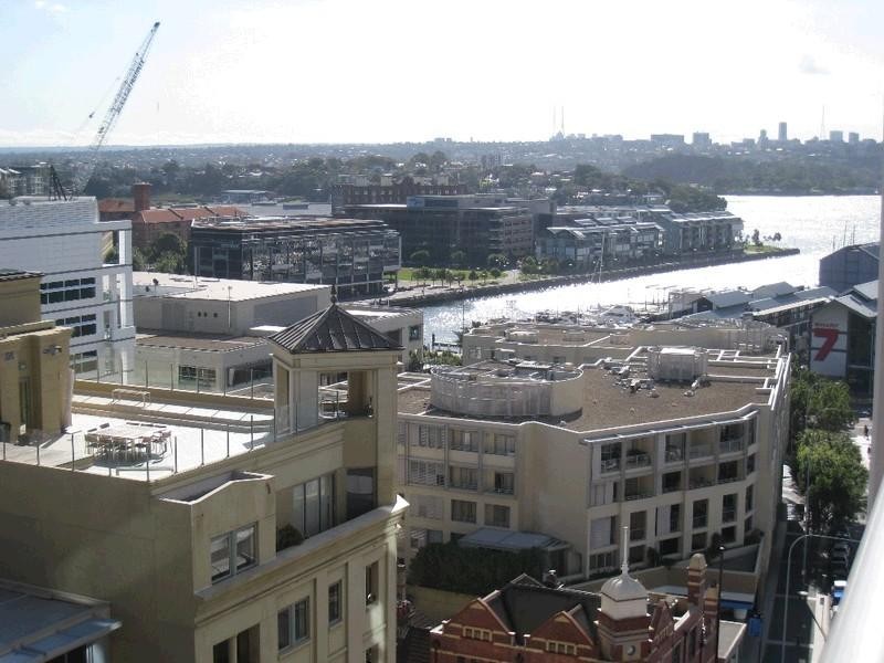 50 Murray Street, Pyrmont NSW 2009