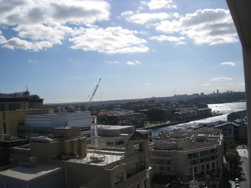 50 Murray Street, Pyrmont NSW 2009