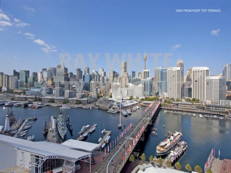 50 Murray Street, Pyrmont NSW 2009