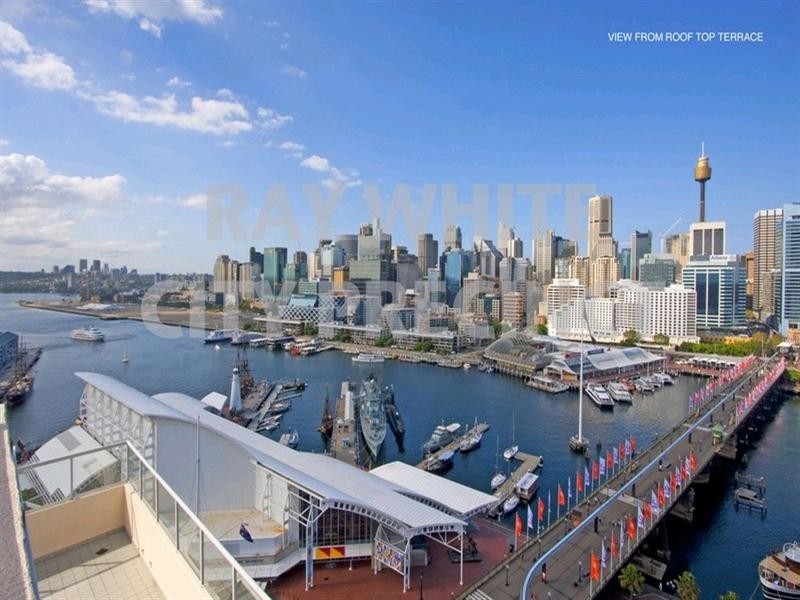 50 Murray Street, Pyrmont NSW 2009