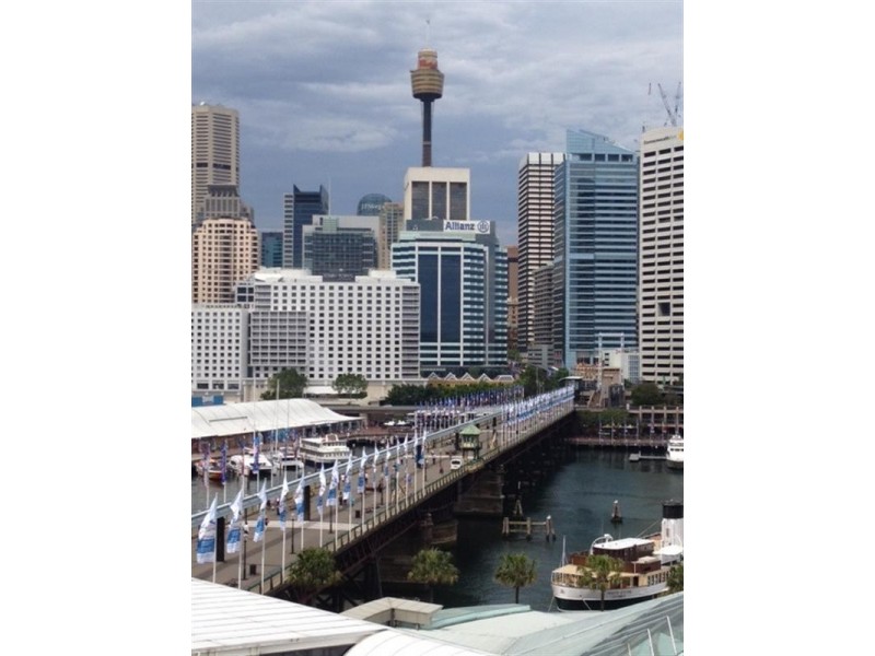 50 Murray Street, Pyrmont NSW 2009