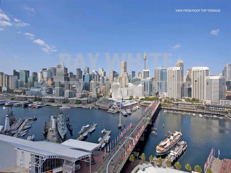 50 Murray Street, Pyrmont NSW 2009