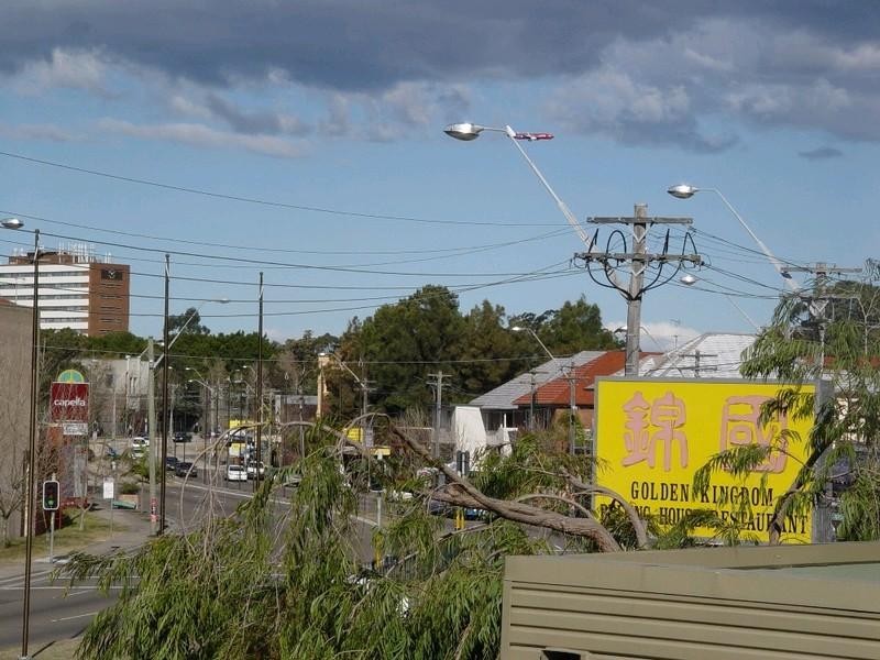 145a Anzac Parade, Moore Park NSW 2021