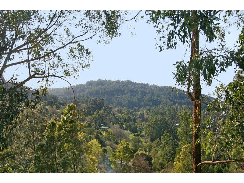 19 Dobson Street, Ferntree Gully VIC 3156