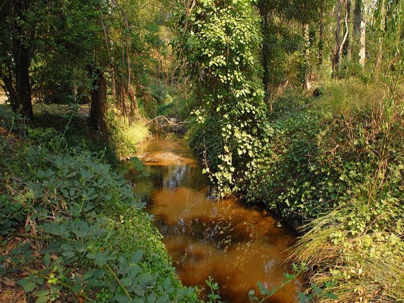 264 Mount Morton Road, Belgrave VIC 3160