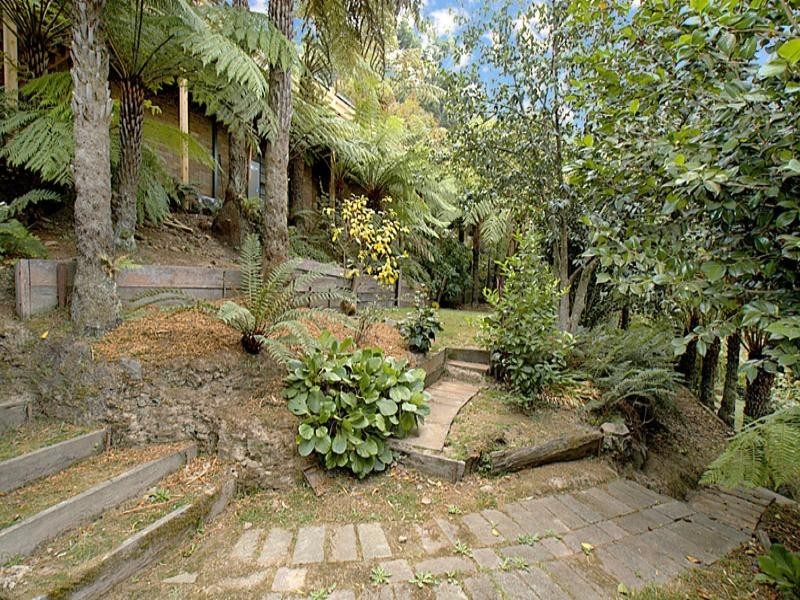 110 Mount Dandenong Tourist Road, Ferny Creek VIC 3786