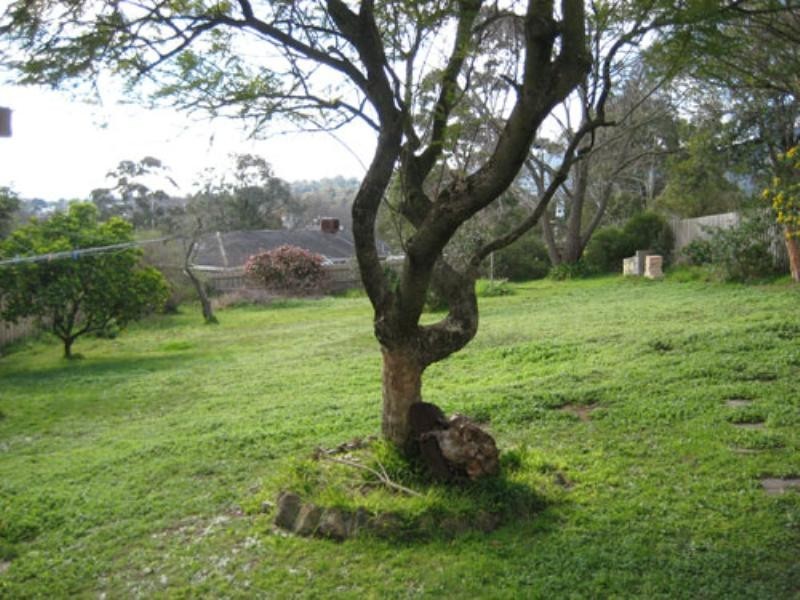 5 Bales Street, Ferntree Gully VIC 3156