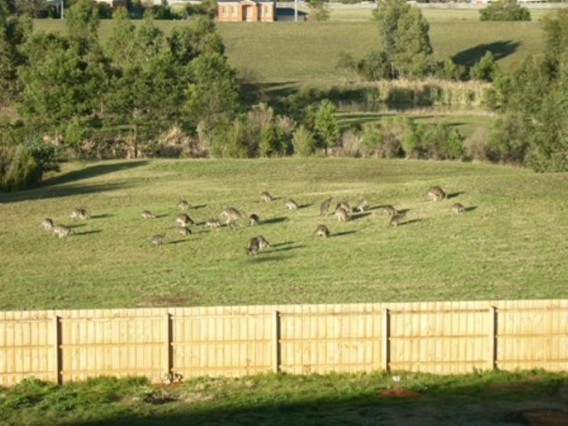 20 Parkview Terrace, Lysterfield South VIC 3156