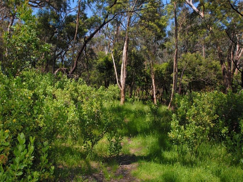 Lot 1/83 Ferndale Road, Upper Ferntree Gully VIC 3156