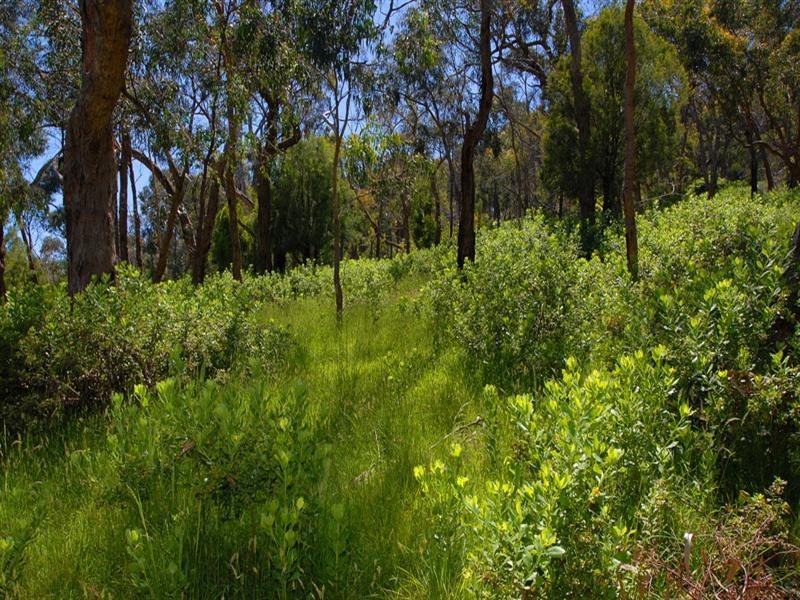 Lot 1/83 Ferndale Road, Upper Ferntree Gully VIC 3156