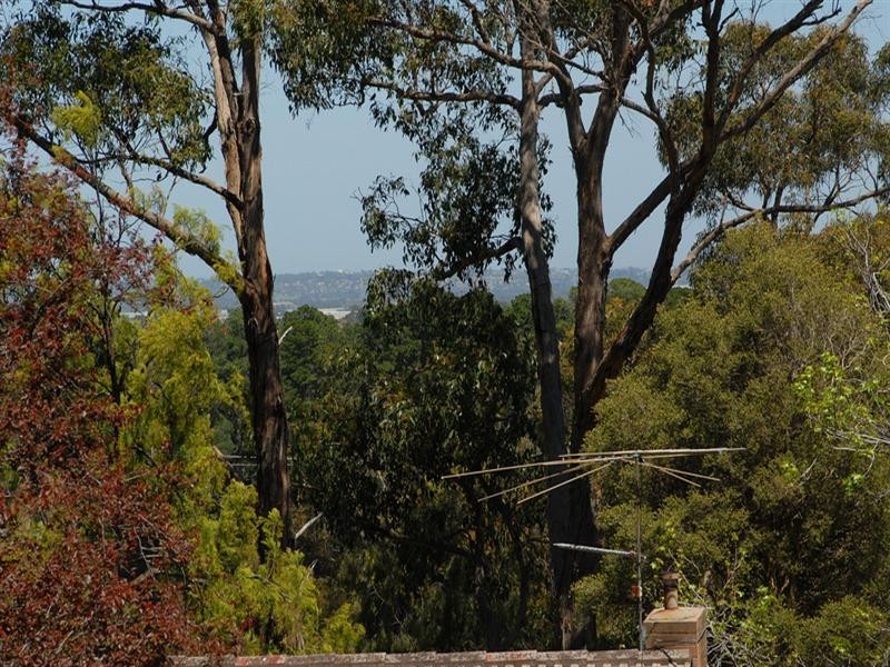 222 Forest Road, Boronia VIC 3155