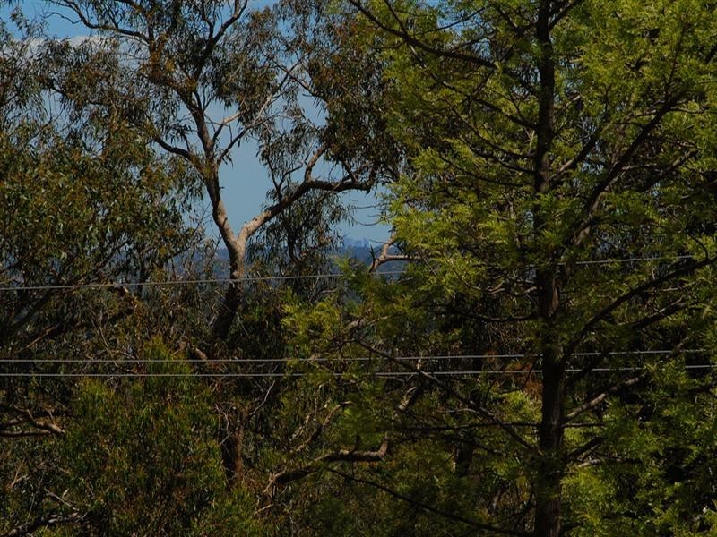 222 Forest Road, Boronia VIC 3155