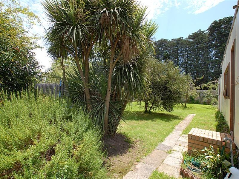 43 Erasmus Street, Surrey Hills VIC 3127